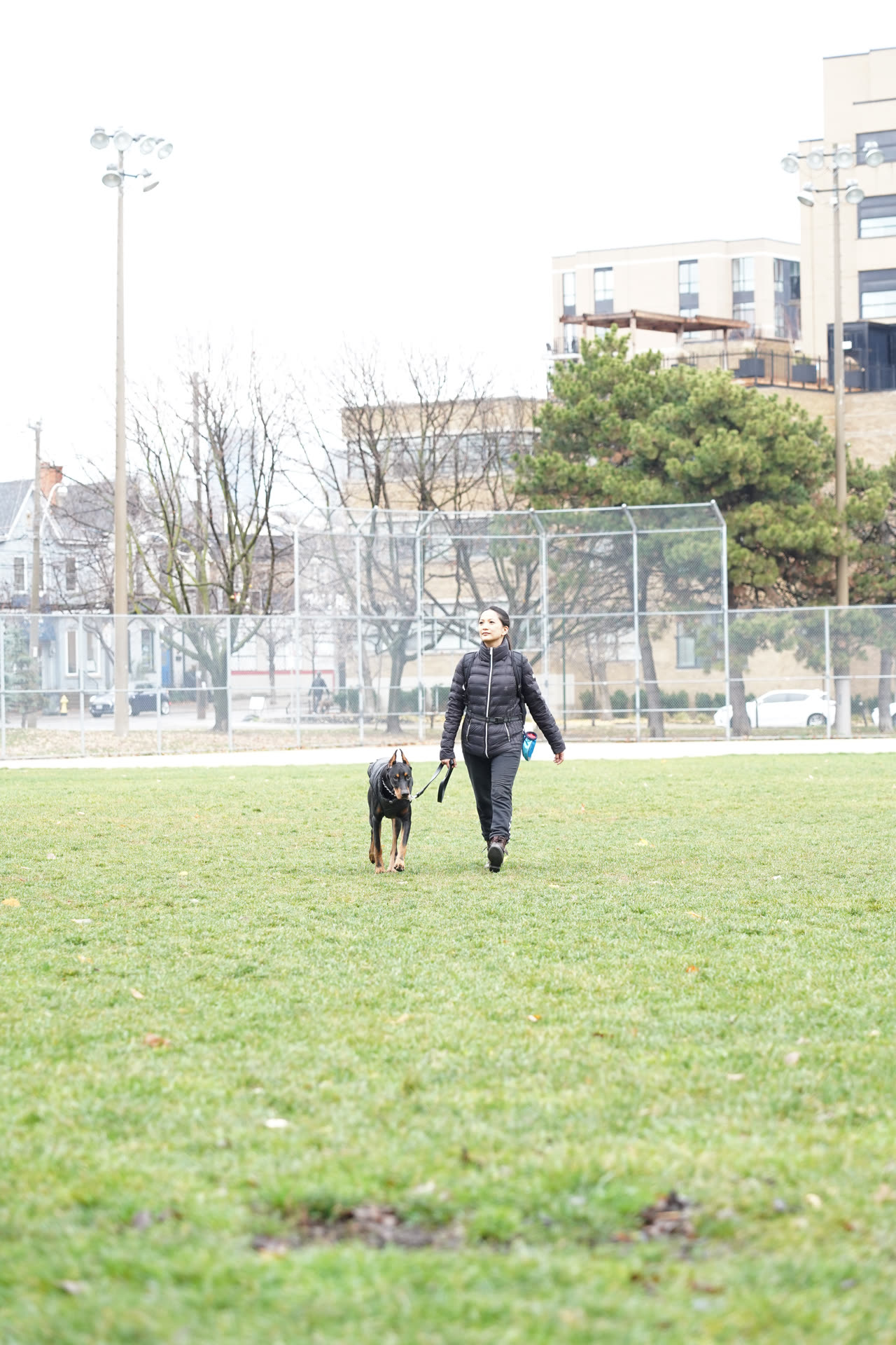 Maia confidently leading a dog walk
