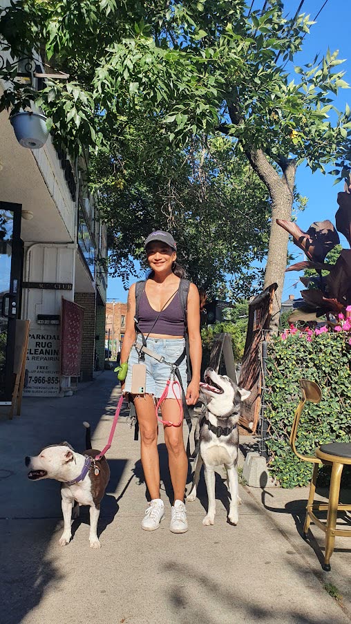 Maia walking dogs in Parkdale